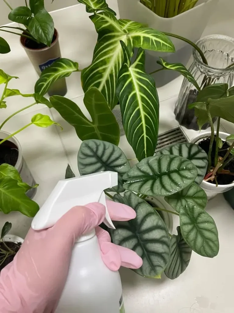 Miticides systemic insecticides