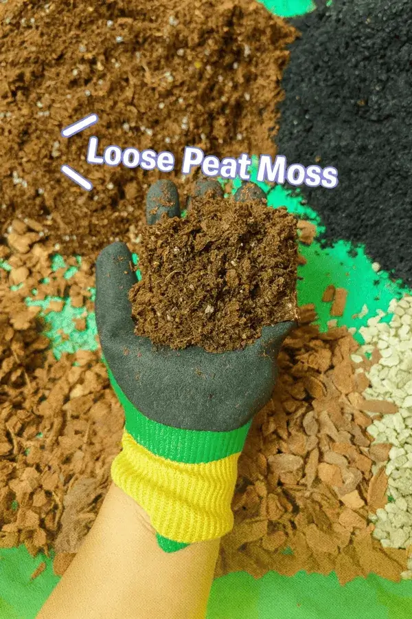 Peat moss (50%)