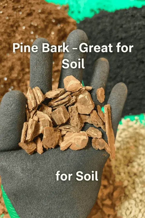 Pine bark (10%)