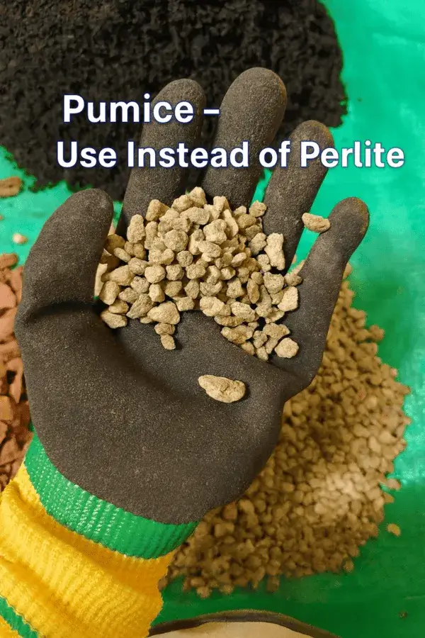 Pumice (10%)