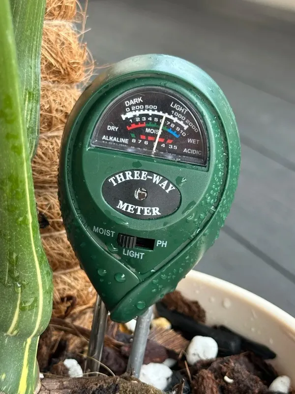 Moisture Meter A Tool, Not a Rule