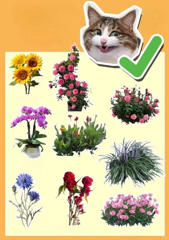 Pet-Safe Flowering Plants