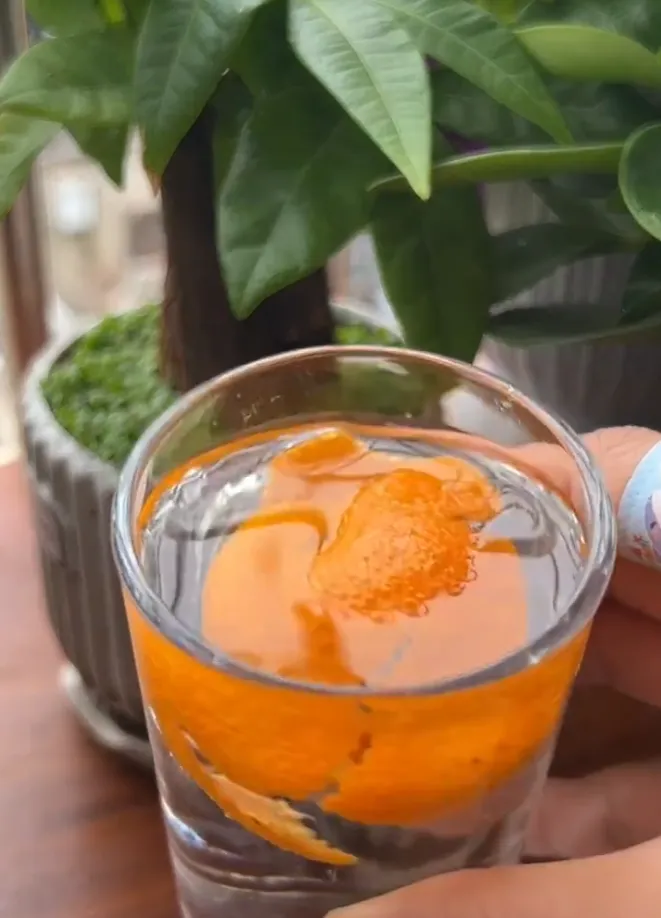 citrus peel water used to reduce fungus gnats in calathea soil