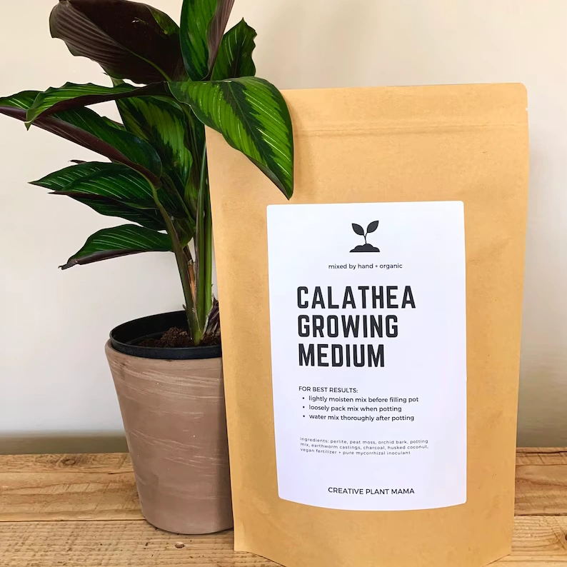 CALATHEA Soil Mix - Houseplant Growing Medium_副本