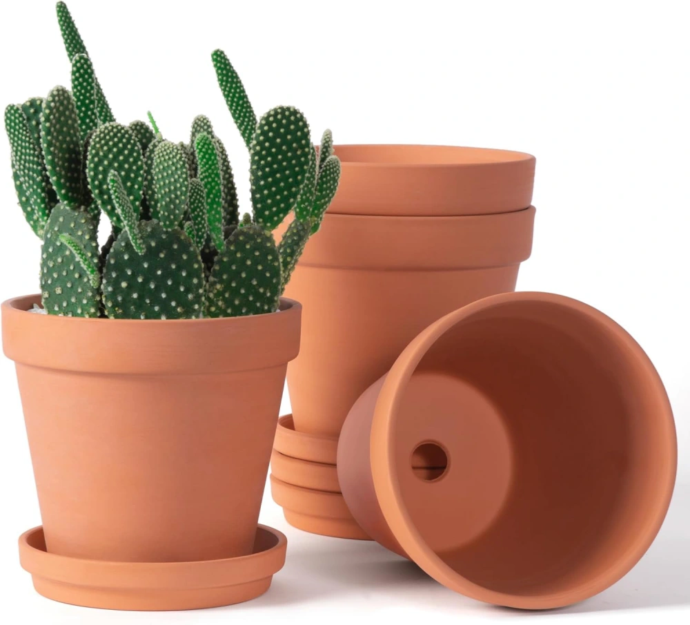 Terracotta Pots for Calathea